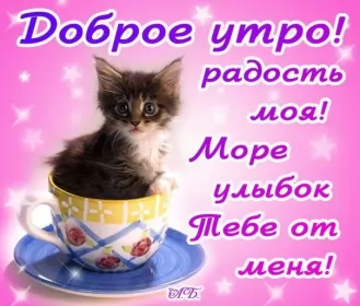 Доброе утро любимая Открытка доброе утро любимая,пожелания доброго утра любимой,котёнок