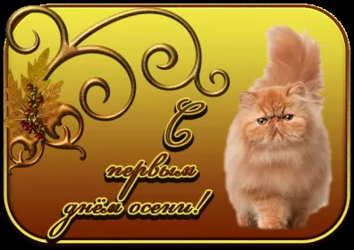 Открытки первый день осени Открытка гиф,мерцающая с первым днём осени,с наступлением осени