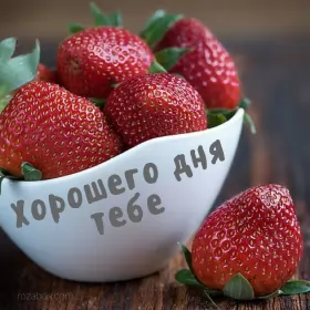 Хорошего дня Открытка картинка хорошего дня красивая открытка с пожеланиями хорошего дня