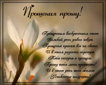 Открытки прощённое воскресенье Открытка картинка прощённое воскресенье,с прощённым воскресеньем