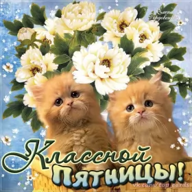 Доброе утро дни недели Открытка с пожеланиями доброго утра пятницы,доброе утро пятница