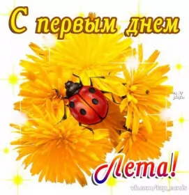 Открытки первый день лета Открытка первый день лета, с первым днём лета,поздравления с летом