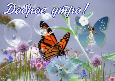 Доброе летнее утро Открытка с добрым летним утром,доброго летнего утра,летнее утро