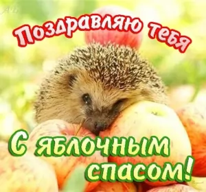 Открытки яблочный спас Открытка картинка с яблочным спасом,с приображением Господним,