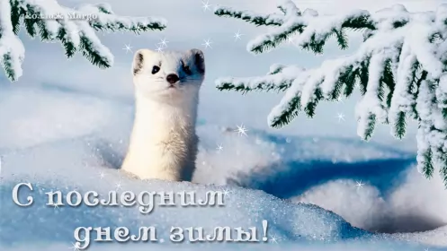 Открытки с последним днём зимы Открытка картинка с последним днём зимы,последний зимний день