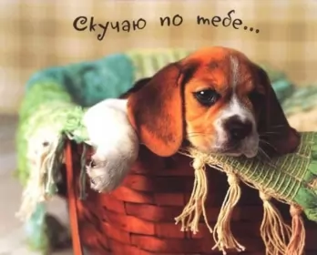 Открытки скучаю Открытка с надписью скучаю,красивая открытка скучаю,очень скучаю