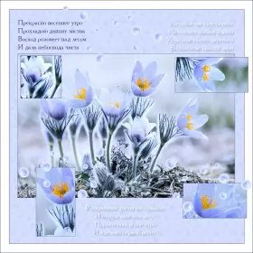 Доброе весеннее утро Открытка доброе весеннее утро,с добрым весенним утром,весеннее утро