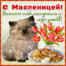 Открытки масленица Открытки картинки гиф,мерцающие с масленицей,масленица,на масленицу,котик
