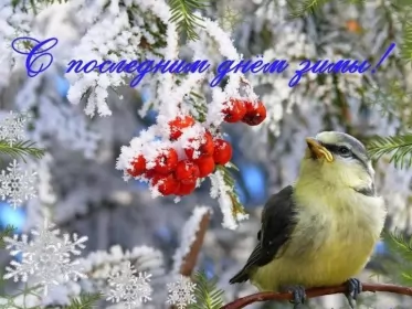 Открытки с последним днём зимы Открытка картинка с последним днём зимы,последний зимний день