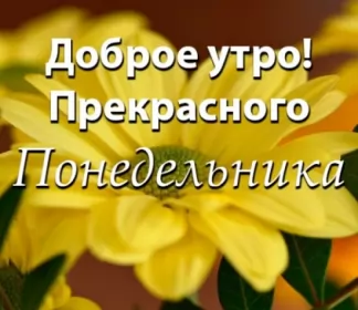 Доброе утро дни недели Открытка доброе утро по дням недели, доброе утро понедельника