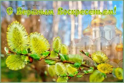 Открытки вербное воскресенье Открытки гиф, мерцающие с  вербным , на вербное воскресенье 