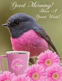 Открытки Good Morning Открытки картинки  доброго утра , доброе утро Good Morning .