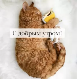 Доброе утро-разное Открытка доброе утро , с добрым утром ,пожелания доброго утра