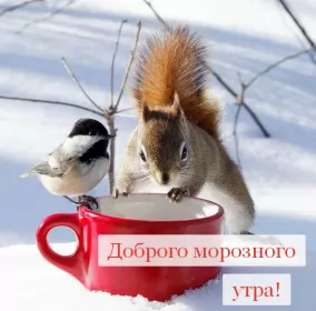 Открытки с добрым морозным утром Открытка картинка с морозным добрым утром,зимнее доброе утро