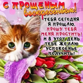 Открытки прощённое воскресенье Открытка картинка прощённое воскресенье,с прощённым воскресеньем