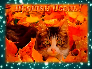 Открытки с последним днём осени Открытка с последним днём осени,последий осенний день ,конец осени