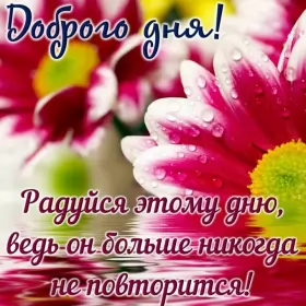 Открытки добрый день Открытка добрый день,картинка пожелания доброго дня,день добрый