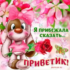 Привет,приветствие Открытка картинка гиф ,мерцающая привет,приветсвие,передать привет