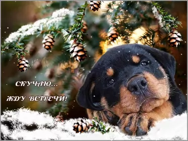 Открытки скучаю Открытка гиф ,мерцающая скучаю,скучаю по тебе,скучаю сильно.