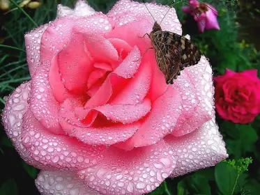 Доброе утро дни недели Открытка,картинка доброе утро четверга,яркие открытки четверг доброе утро