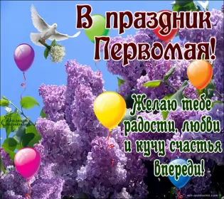 Открытки 1 мая  Открытка с праздником 1 мая,с весенним праздником 1 мая ,весна