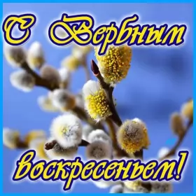 Открытки вербное воскресенье Картинка открытка на вербное воскресенье,с вербным воскресеньем