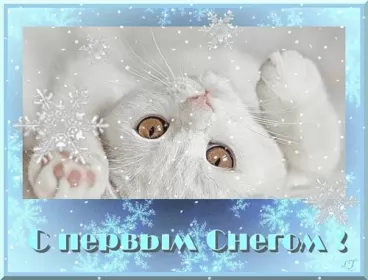 Открытки с первым снегом Открытка гиф с первым снегом, поздравления с первым снегом .