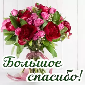 Открытки спасибо Открытки спасибо,благодарю,красивая открытка с надписью спасибо,букет