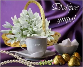 Доброе весеннее утро Открытка доброе весеннее утро,с добрым весенним утром,весеннее утро