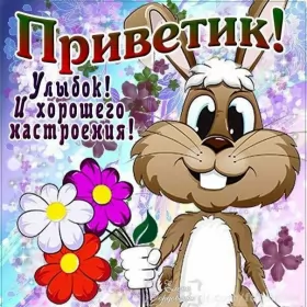 Привет,приветствие Открытки картинки привет,приветствие,красивые открытки привет