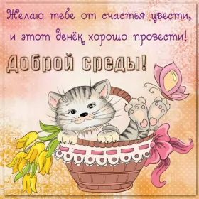 Доброе утро дни недели Открытка с пожеланиями доброго утра среды,с  добрым утром среда.