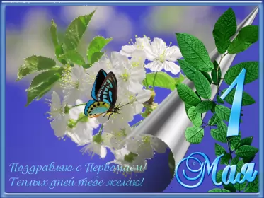 Открытки 1 мая  Открытка на 1 мая,первомай,поздравления с праздником 1 мая .