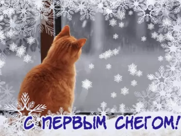 Открытки с первым снегом Открытка гиф с первым снегом, поздравления с первым снегом .