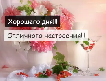 Хорошего дня Открытка картинка хорошего дня красивая открытка с пожеланиями хорошего дня