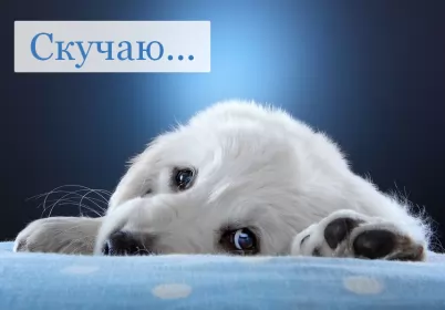 Открытки скучаю Открытки скучаю я скучаю по тебе,картинки с надписью скучаю .