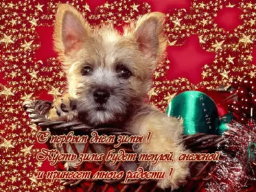 Открытки первый день зимы Открытка гиф,мерцающая первый день зимы,1 декабря,с началом зимы