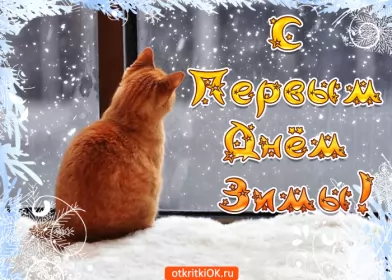 Открытки первый день зимы Открытка гиф,мерцающая первый день зимы,1 декабря,с началом зимы