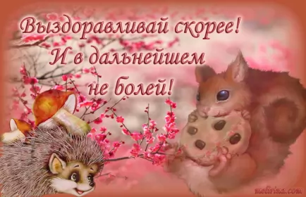 Открытки выздоравливай Открытки выздоравливай ,пожелания скорейшего выздоравления,белка,ёж