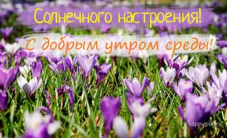 Доброе утро дни недели Открытка с пожеланиями доброго утра среды,с  добрым утром среда.