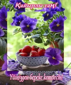 Кайырлы тан доброе утро Открытка картинка кайырлы тан доброе утро на казахском языке