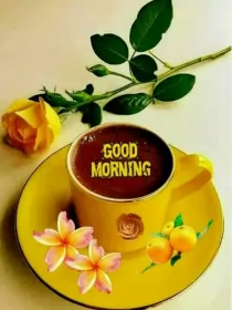 Открытки Good Morning Открытки картинки  доброго утра , доброе утро Good Morning .