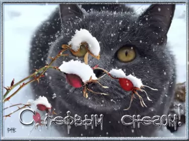 Открытки с первым снегом Открытки с первым снегом,первый снег,выпал первый снег,снежок