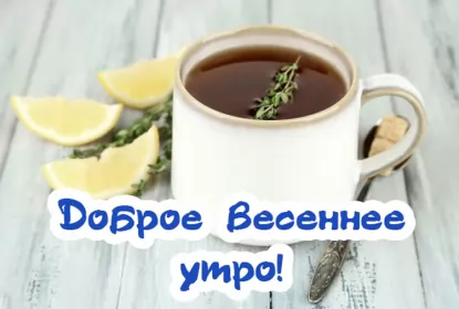 Доброе весеннее утро Открытка доброе весеннее утро,с добрым весенним утром,весеннее утро