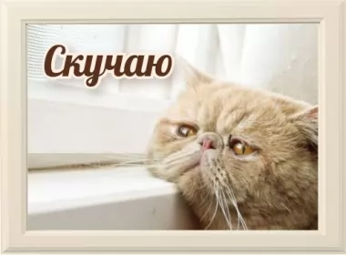  Открытки картинки с надписью скучаю