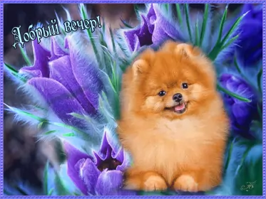 Открытки Добрый вечер Открытка гиф ,мерцающая добрый вечер,анимированная открытка доброго вечера