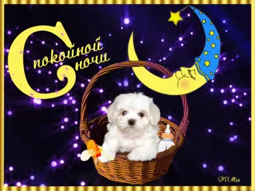 Открытки спокойной ночи Картинки открытки с пожеланиями спокойной ночи,спокойного сна.