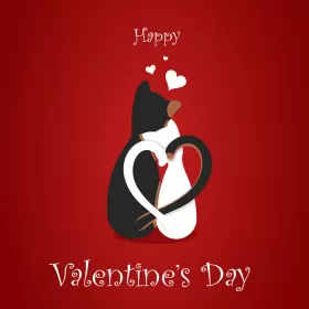 Открытки Valentines Day Картинка открытка Valentines Day день всех влюблённых 14 февраля