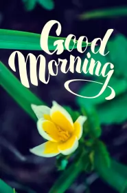 Открытки Good Morning Картинка открытка на английском языке доброе утро Good Morning 