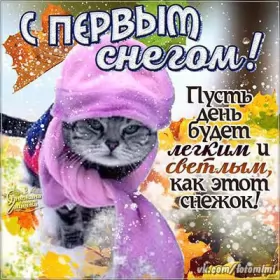 Открытки с первым снегом Открытки с первым снегом,первый снег,выпал первый снег,снежок