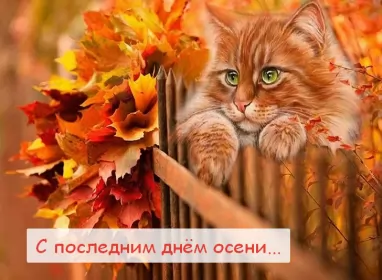 Открытки с последним днём осени Открытка с последним днём осени,последий осенний день ,конец осени